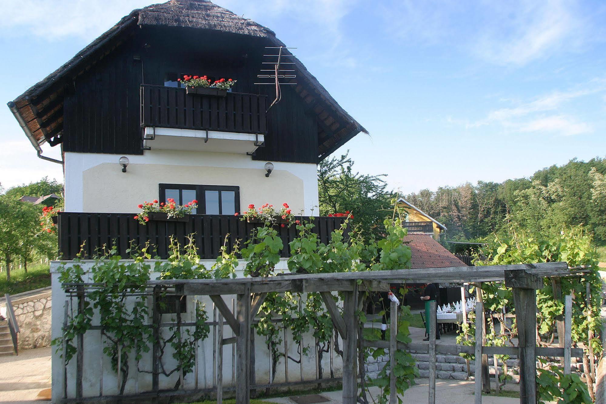 Hotel Krka - Terme Krka Novo Mesto Zewnętrze zdjęcie